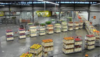 新農(nóng)村 新征程 新發(fā)展|如何推動(dòng)農(nóng)產(chǎn)品物流與供應(yīng)鏈的變革?