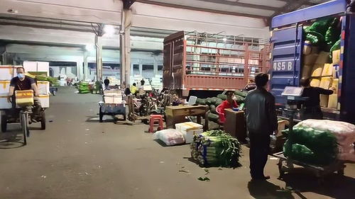 東莞特色商貿市場之12,莞城細村市場,市區(qū)蔬菜交易集散地