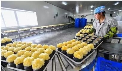 訪企業(yè)、解難題、促“六穩(wěn)”——尤溪 深入項(xiàng)目一線為企精準(zhǔn)把脈，力促商貿(mào)繁榮發(fā)展